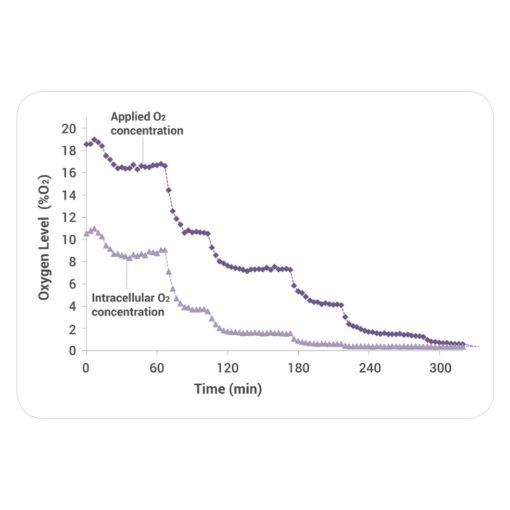 AdvanceBio SEC HPLC Bio Columns — изображение 4