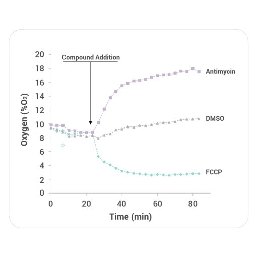 AdvanceBio SEC HPLC Bio Columns — изображение 5