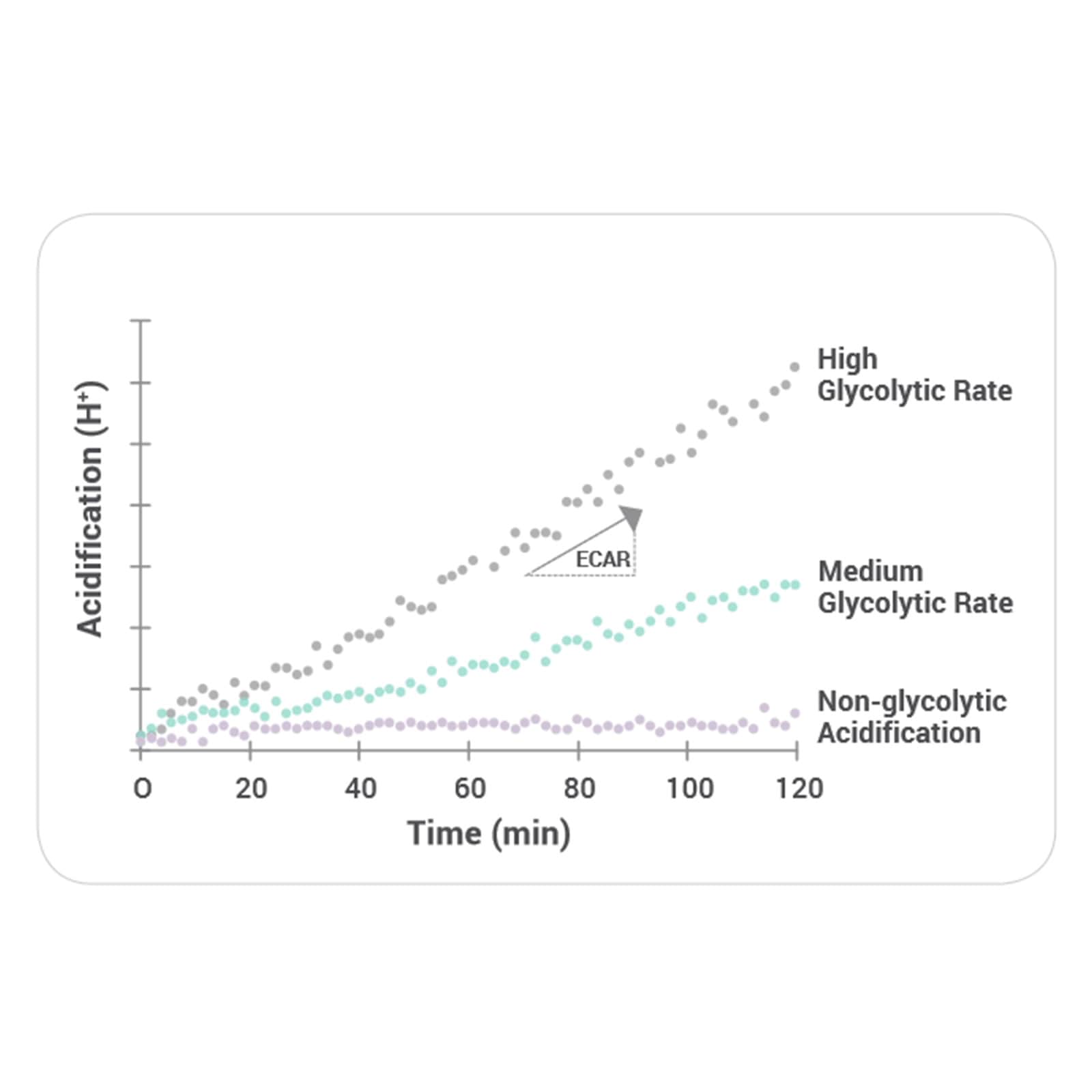 DB-5ms Ultra Inert Columns — изображение 2