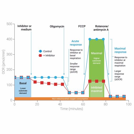 Normal Phase Preparative HPLC Columns — изображение 5